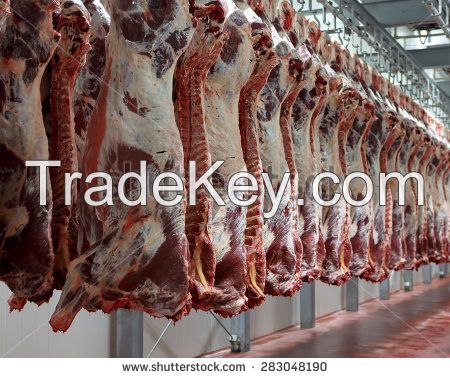 HIGH Qaulity Fozen Whole Boneless Beef Carcass