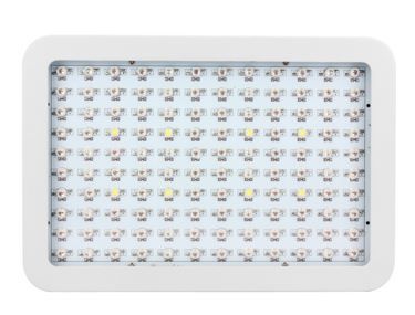 28mil Double-chip 600W led grow light for flower