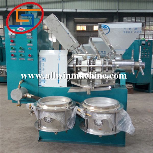 Screw Oil Press machine for moringa seed 