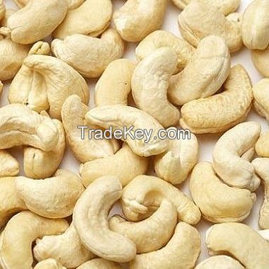 Sweet Raw Cashew Nuts Kernel W240 & W320