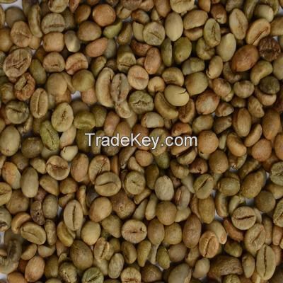 Robusta Coffee Beans - Best Quality and Price 