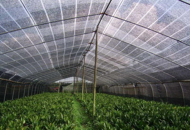 Outside and inside greenhouse aluminum foil shading net