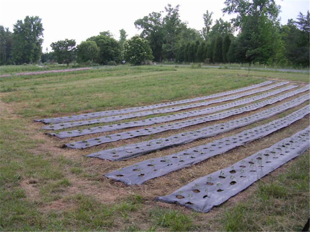 Agricultural ground cover/landscape fabric for silt fence/weed mat