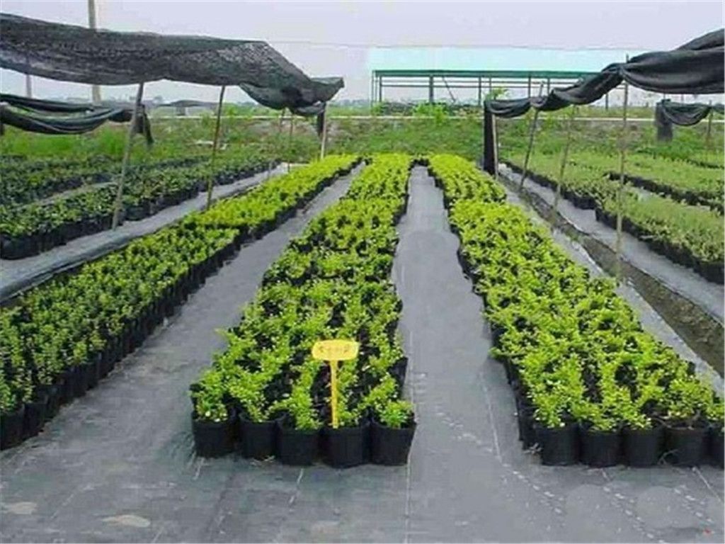 Agricultural ground cover/landscape fabric for silt fence/weed mat