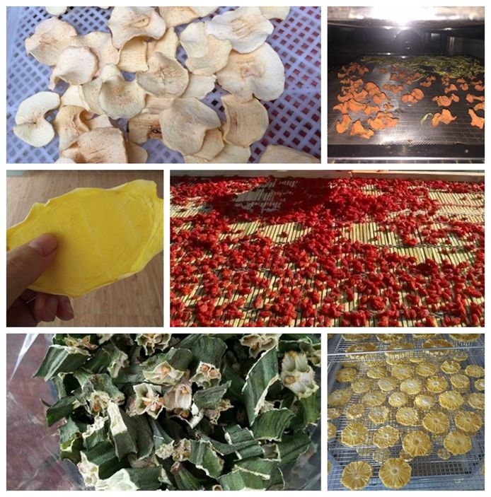 Hot air oven to dehydrated fruit/vegetable drying machine 