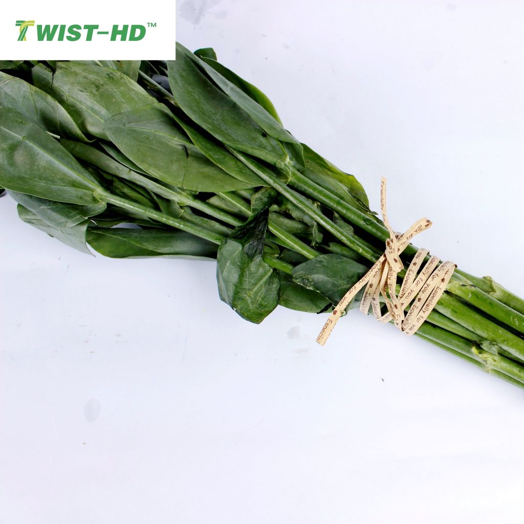 garden fresh vegetable paper twist ties/wire tag