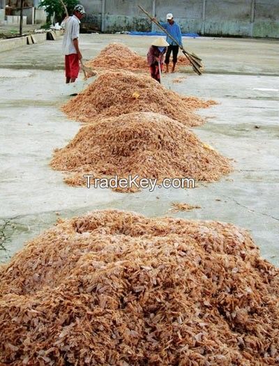 Dry seafood Dried Shrimp shell without