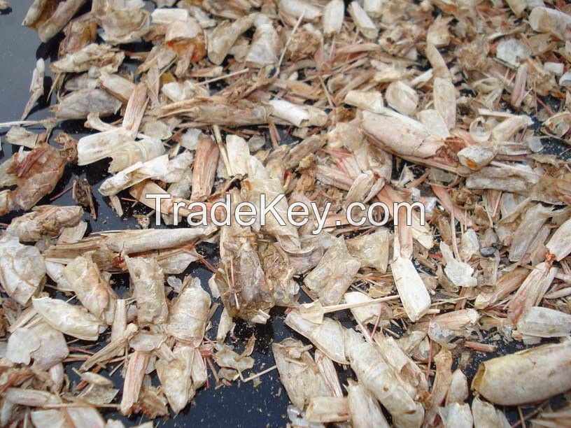 Dried shrimp shell