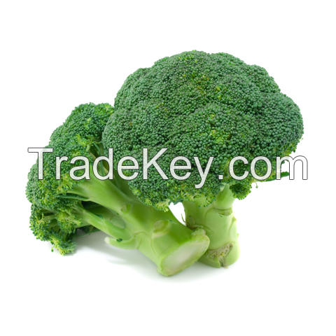 Organic Broccoli