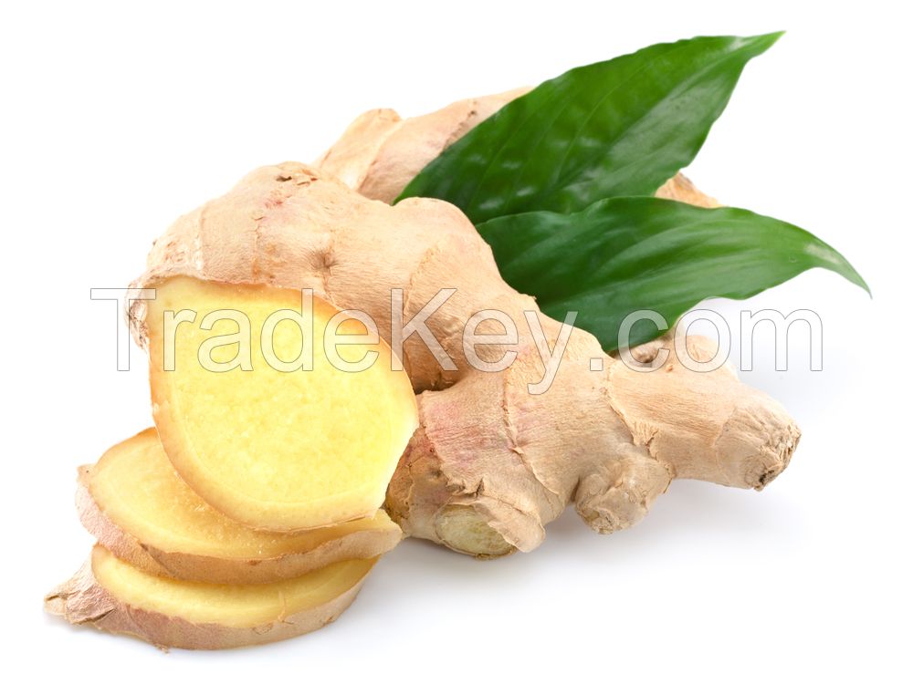 Orgainic GInger