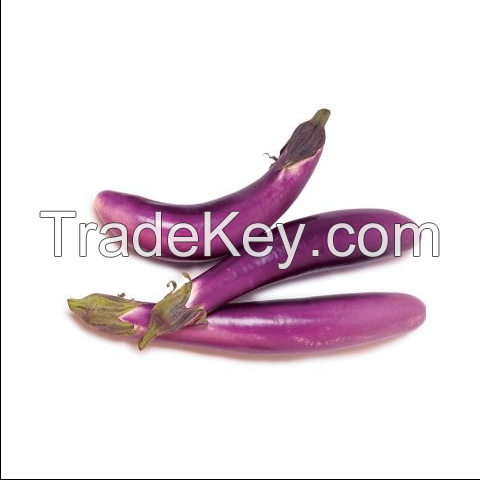 Organic Eggplant