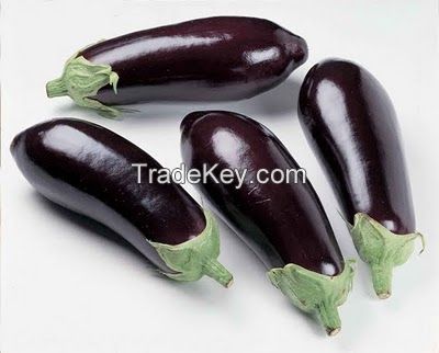 Organic Eggplant