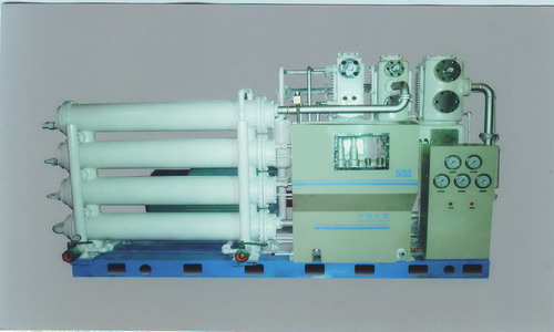 CNG compressor