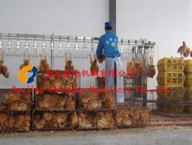 Automatic Slaughtering Equipment suitable for different capacity