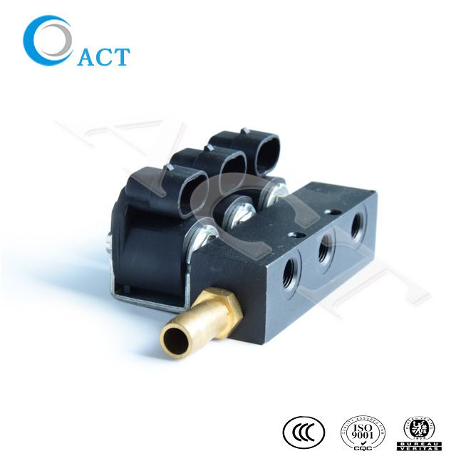 CNG LPG Injector Rail for Car Fuel Gas Common Injector 4cylingder, 6 cylinder, 8 cylinder