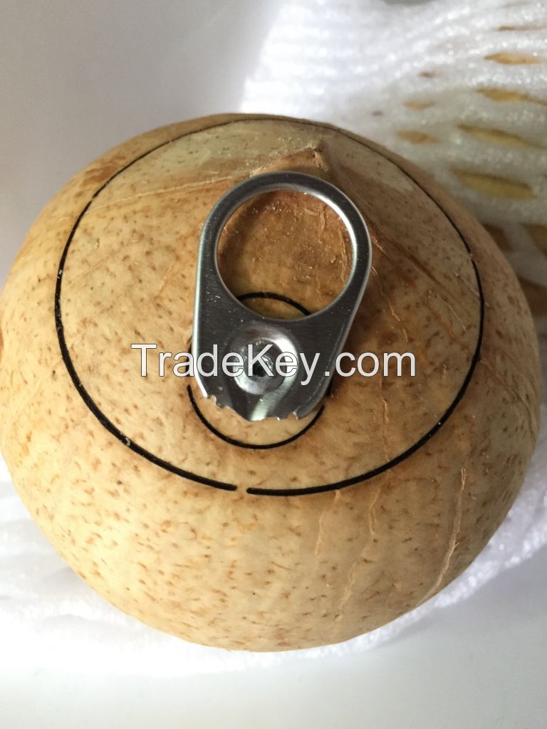 Ring Pull Coconut Easy Open Coconut