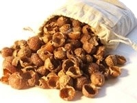 soap nuts(reetha,Sapindus-mukorossi)