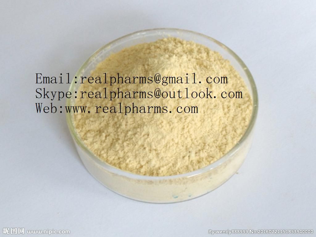Panax G inseng Root Extract (Ginseng Extract)