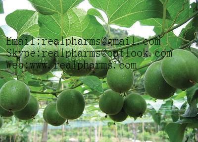 Luo Han Guo Extractï¼ˆArhat Fruit Extractï¼‰