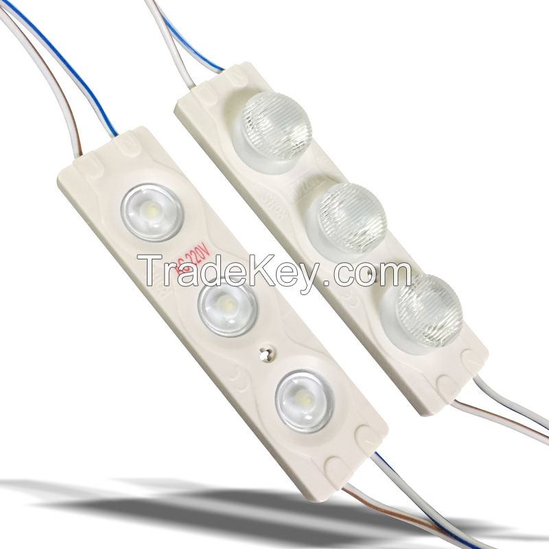 AC led module with 220V