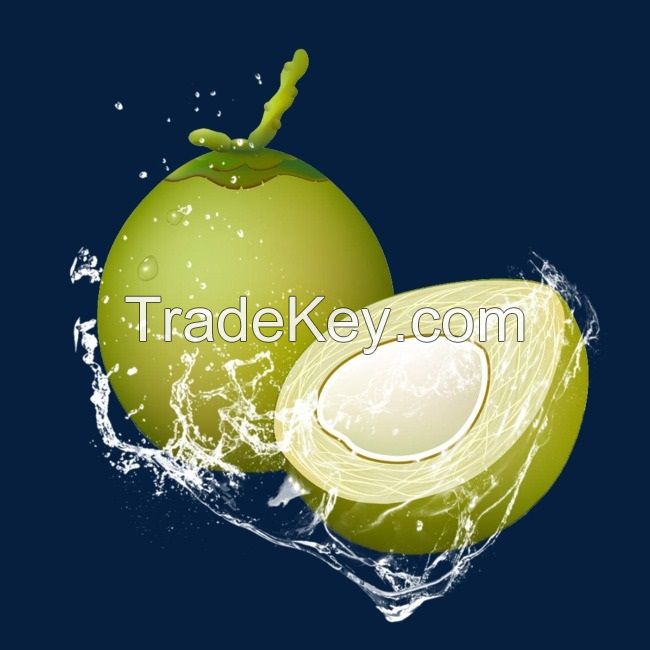 Fresh Coconut Viet Delta (best Price and quality)