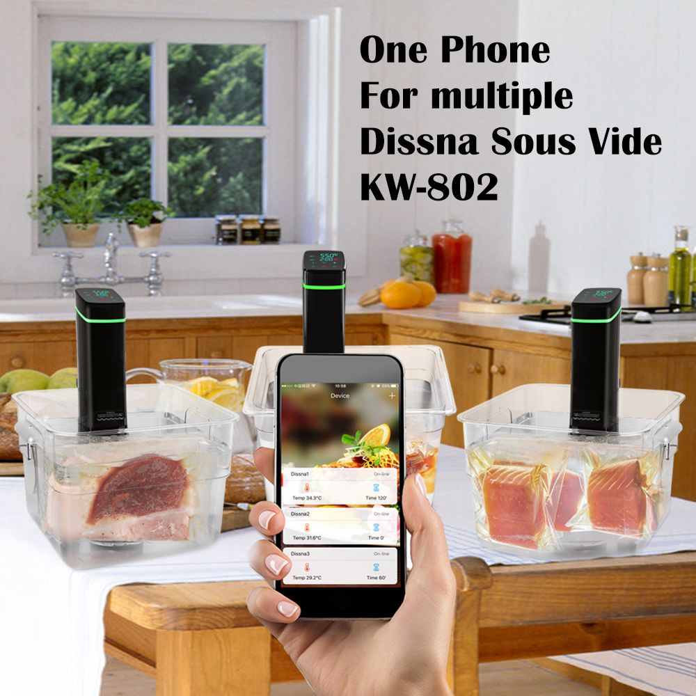 wifi sous vide immersion circulator for industrial slow cooker