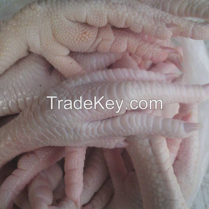 Halal Fresh Frozen Processed Chicken Feet , chicken Paws Grade A Brazil chicken paws and paws