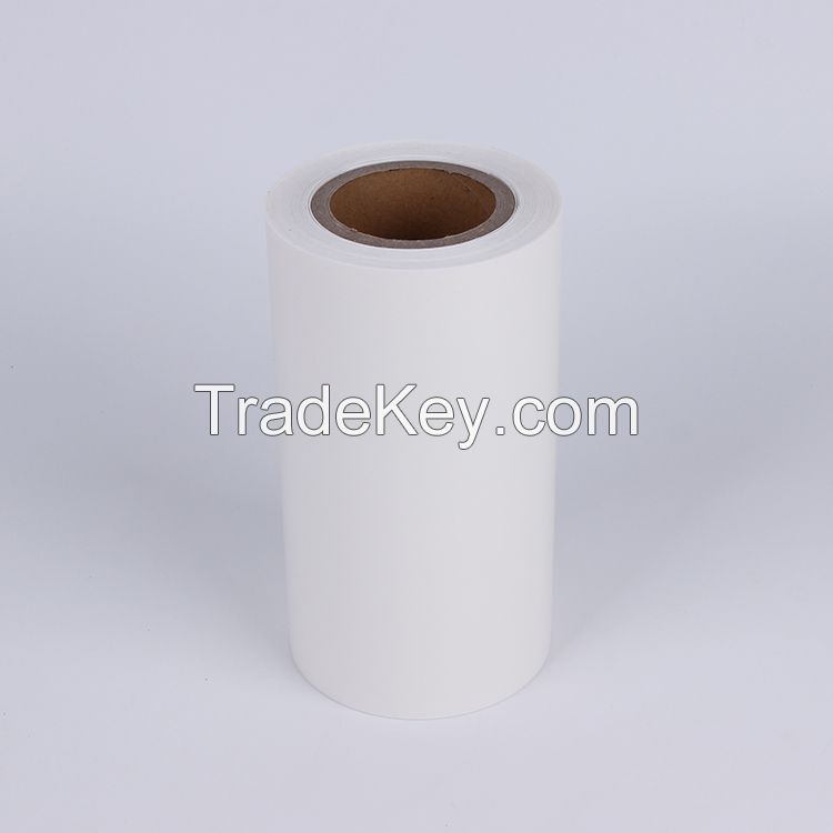 Smooth PP sheet  flexible glossy polypropylene material roll 0.3 mm to 3 mm