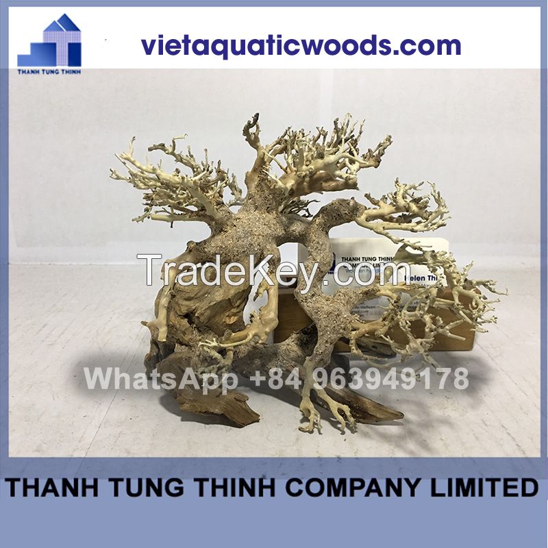 Bonsai Driftwood Supplier For Aquariums