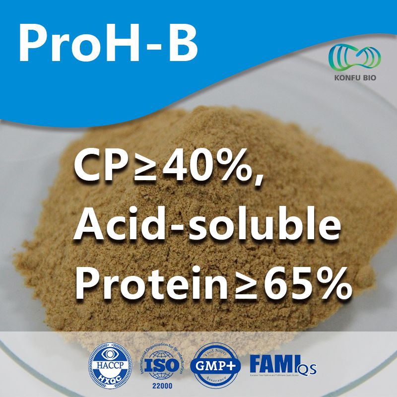 Brewer Yeast Hydrolysate (Feed Additive/ Fishmeal Replacment/ Growth Performance/Immunity Enhancer)