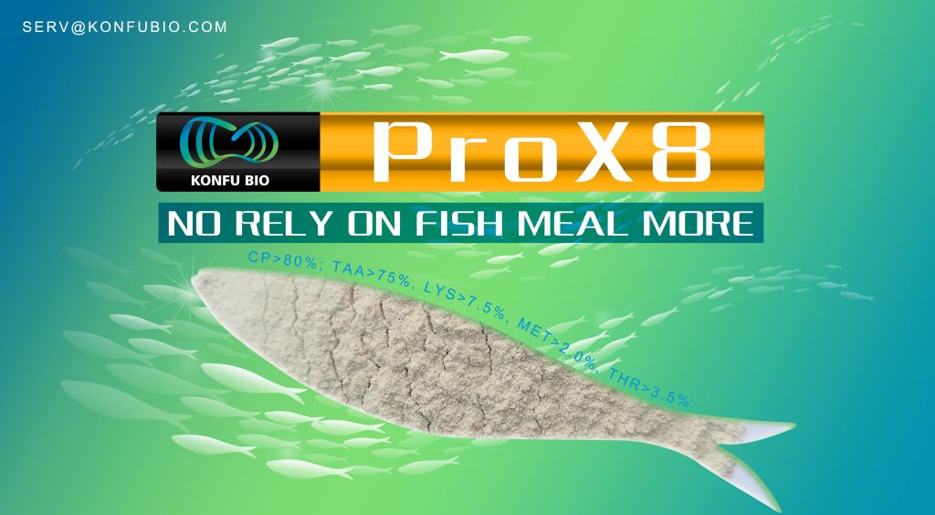 Fish Meal Replament. CP80%, TAA75%, LYS 7.5%, MET2.0%