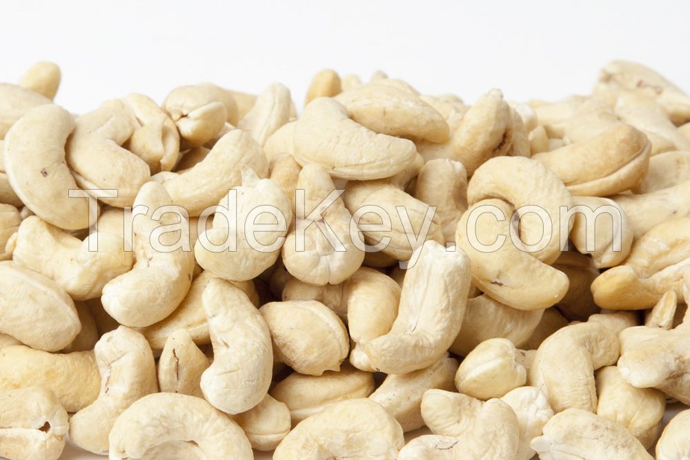 Cashew 320