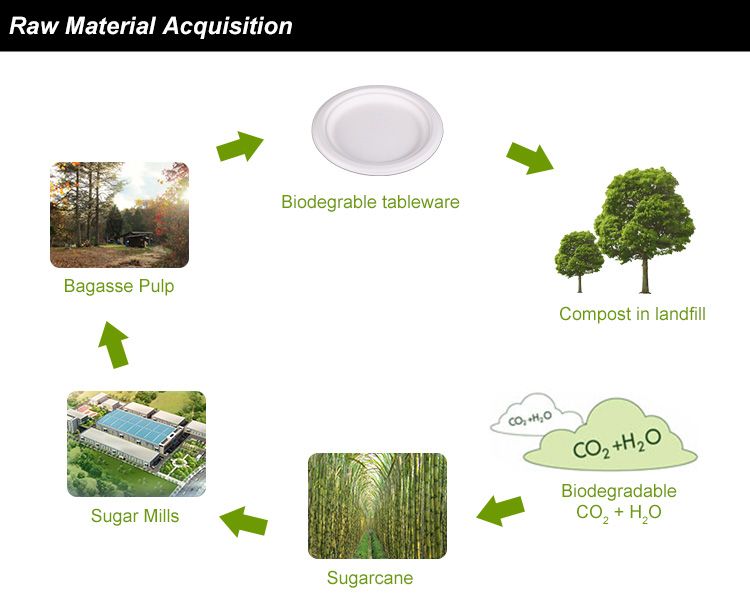 Biodegradable Tableware, eco-friendly tableware, bagasse pulp plate, bagasse pulp tray