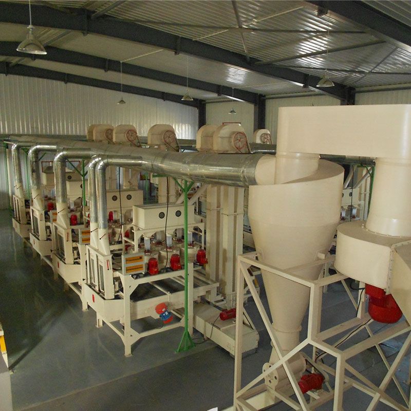 Buckwheat processing line