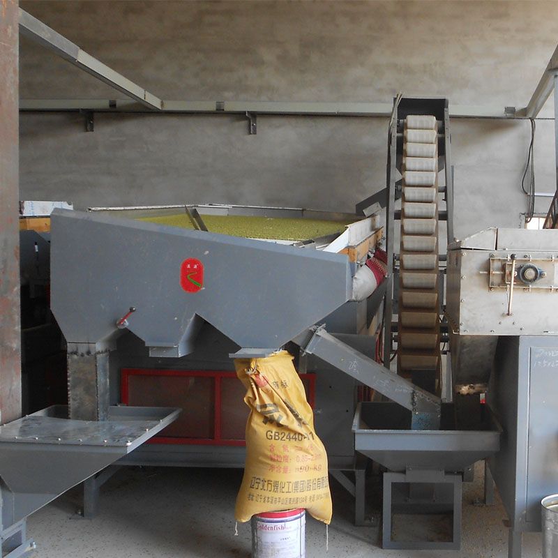 Mung bean seed processing line