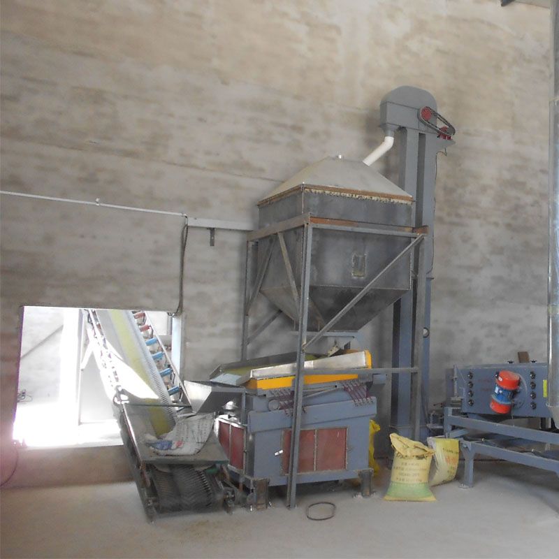 Mung bean seed processing line
