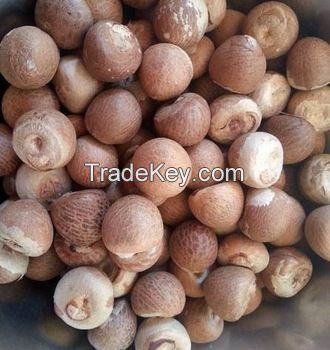 High Quality Whole &amp; Split Betel Nut