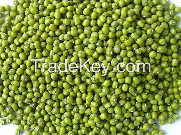 Mung bean from Vietnam High quality