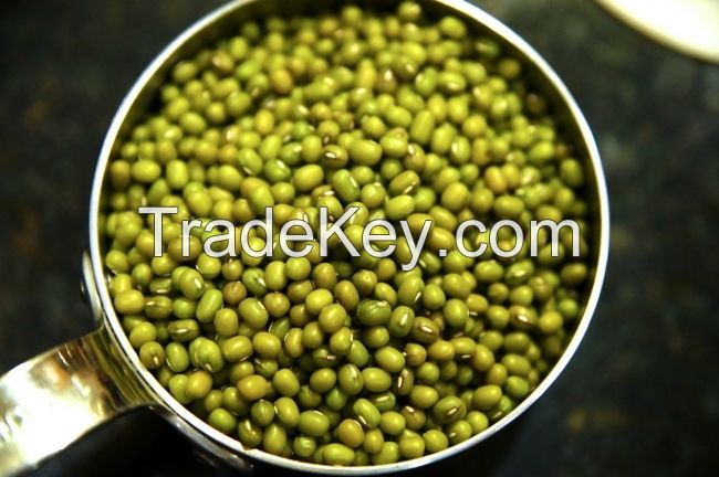 Mung bean from Vietnam High quality