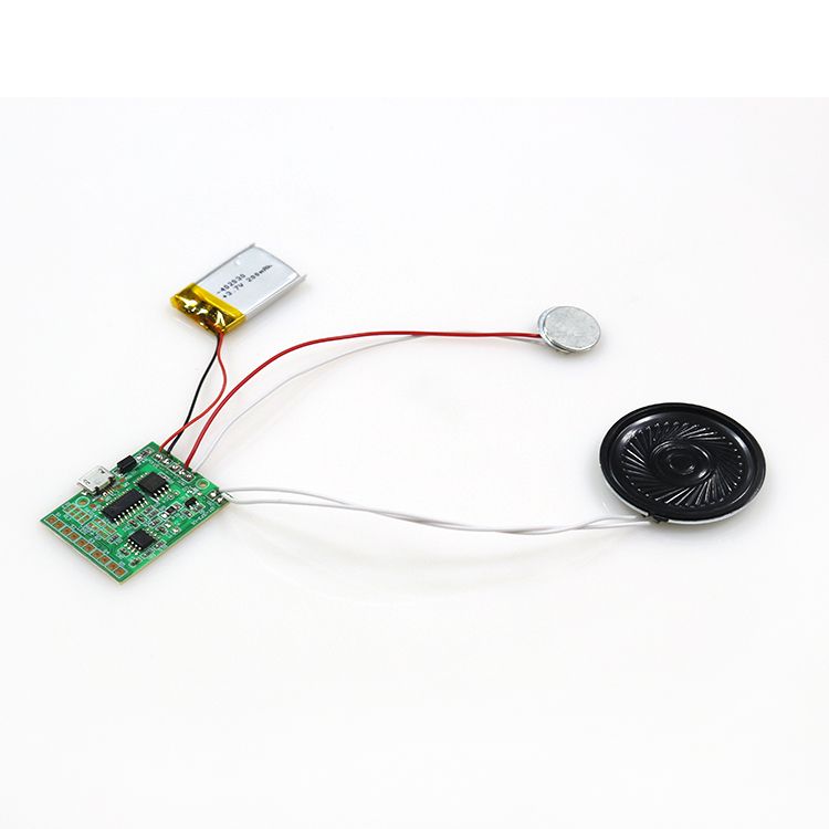 factory largely supply mini recordable sound module voice chip for toys