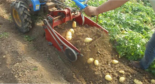 Garden Tractor Potato Digger Machine