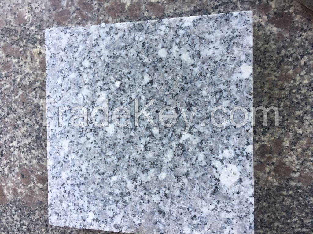 Viet Nam White Natural Granite with Black Dot (SL)