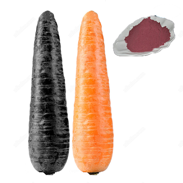 Black Carrot Color