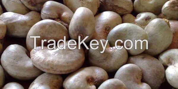 RAW CASHEWS