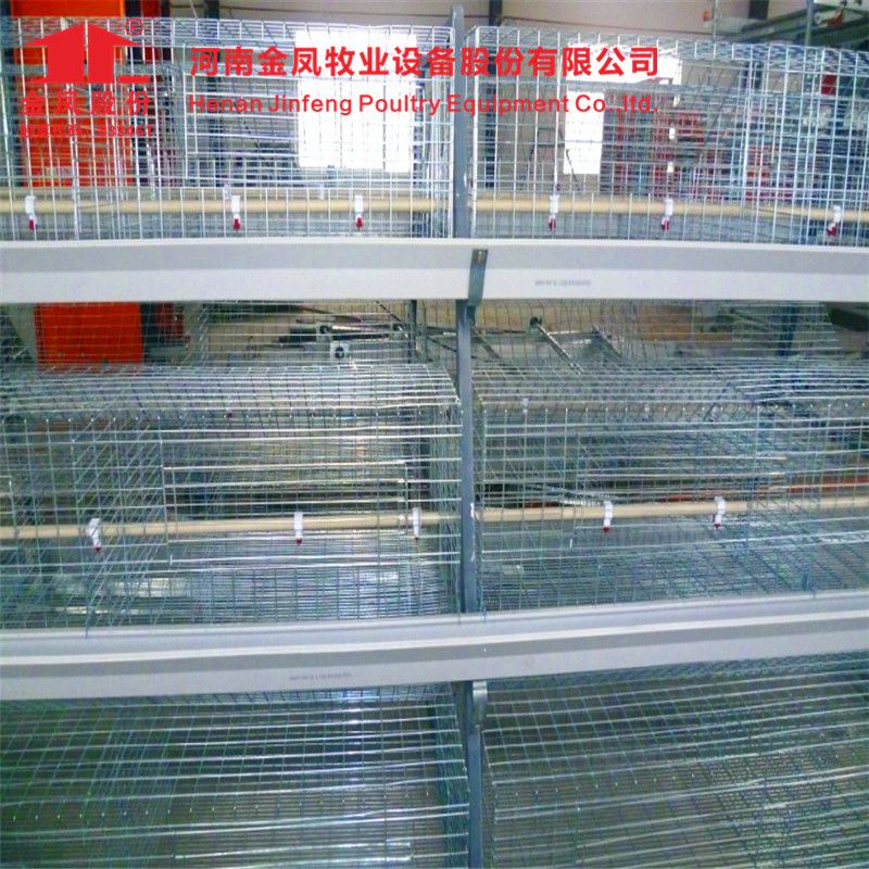 Automatic Chicken Cage Systems Poultry Farm Equipment