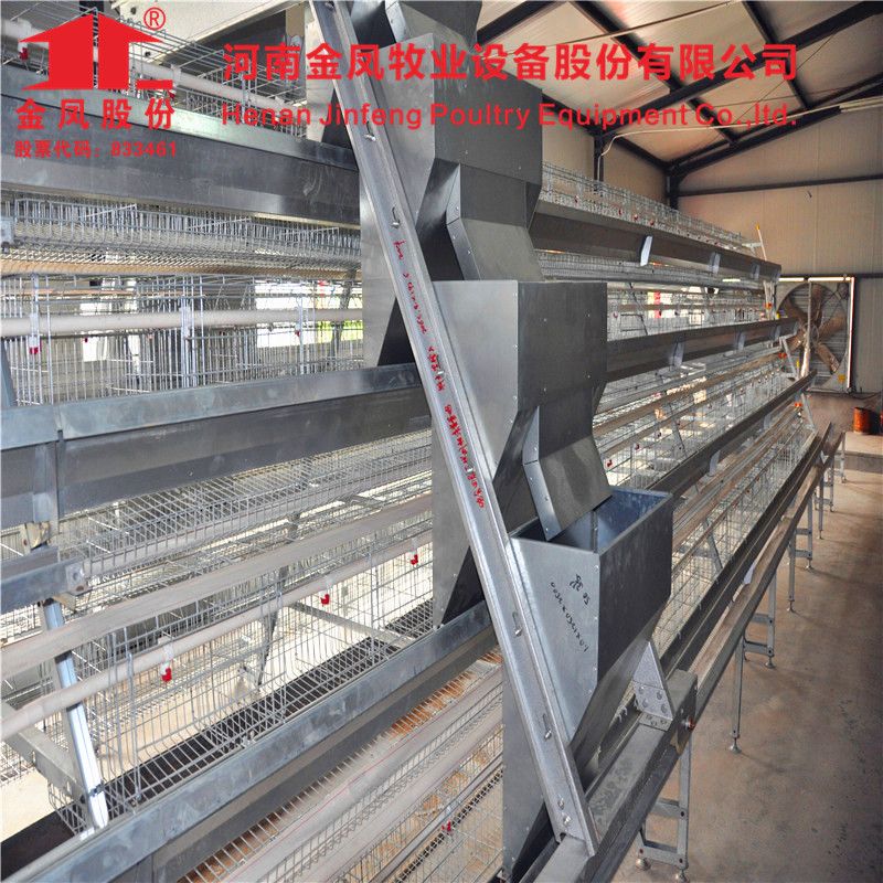 Automatic Chicken Cage Systems Poultry Farm Equipment