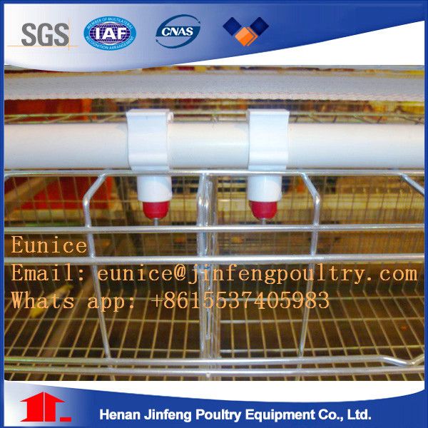 Automatic Layer Chicken Cages for Poultry Farms Poultry Equipment