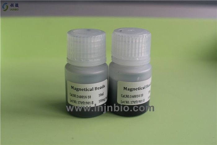 nucleic acid extraction magnetic beads/particle