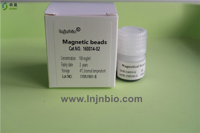 nucleic acid DNA/RNA extraction and purification magnetic beads
