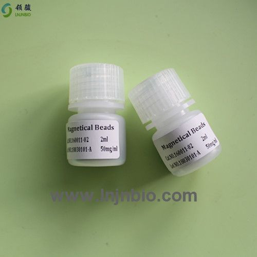 Virus nucleic acid DNA extraction biofunctional magnetic beads